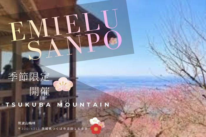 パーティーID:4410410の画像