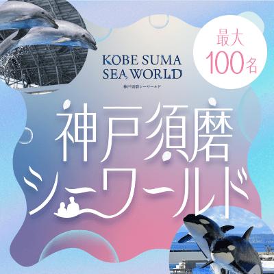 パーティーID:4410656の画像