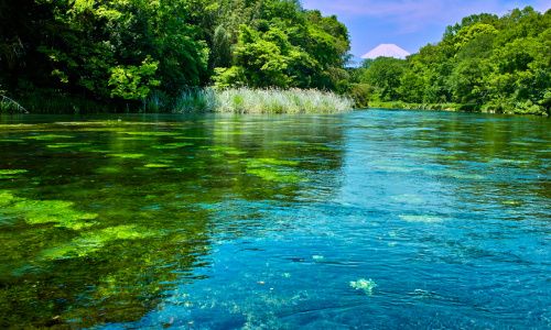 パーティーID:4410674の画像