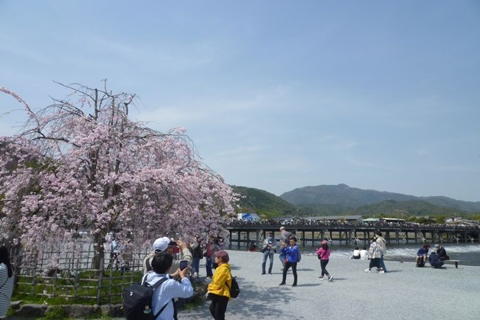 パーティーID:4411641の画像