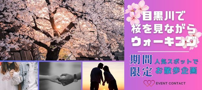 パーティーID:4412513の画像