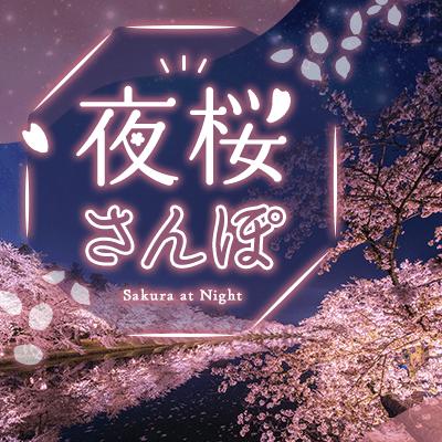 パーティーID:4413404の画像