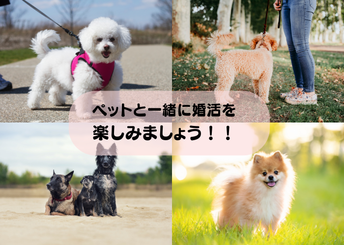 パーティーID:4413666の画像