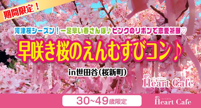 パーティーID:4414033の画像