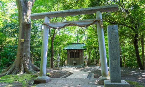 パーティーID:4414045の画像