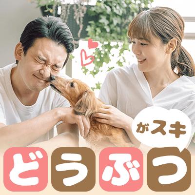 パーティーID:4414313の画像