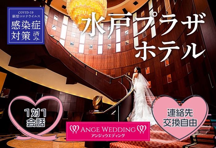 パーティーID:4414564の画像