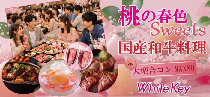 パーティーID:4414578の画像