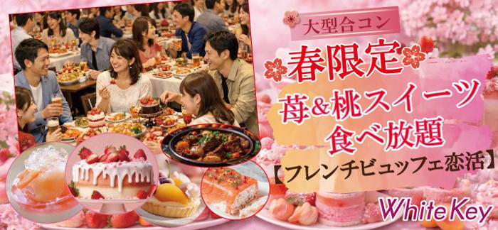 パーティーID:4414709の画像