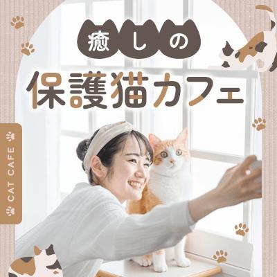 パーティーID:4414749の画像