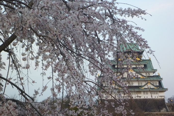 パーティーID:4415150の画像