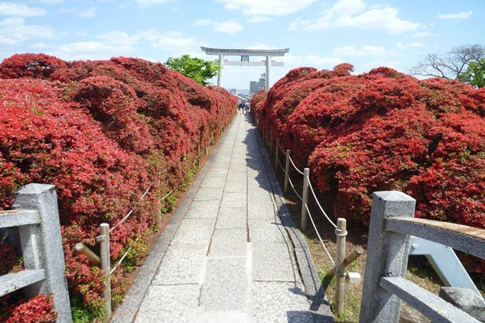 パーティーID:4415160の画像