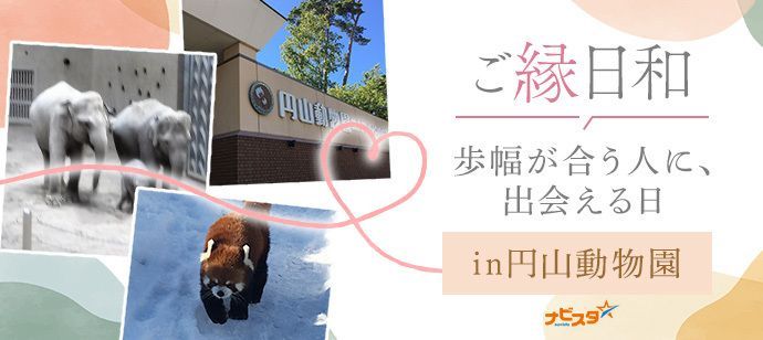 パーティーID:4415876の画像