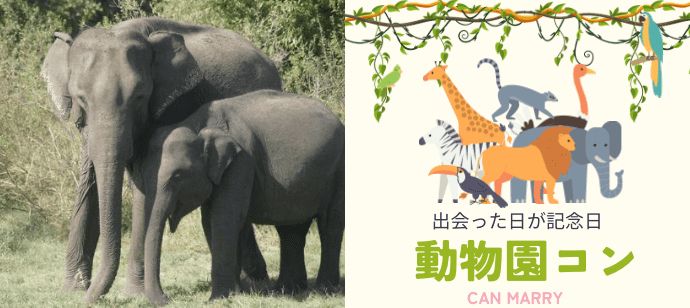 パーティーID:4415905の画像