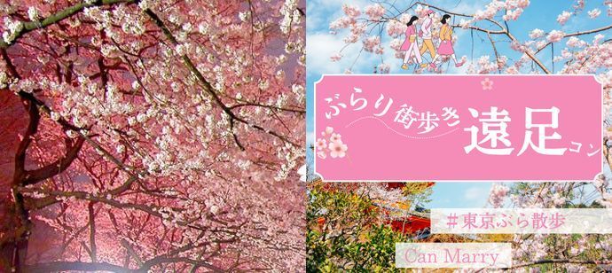 パーティーID:4415908の画像