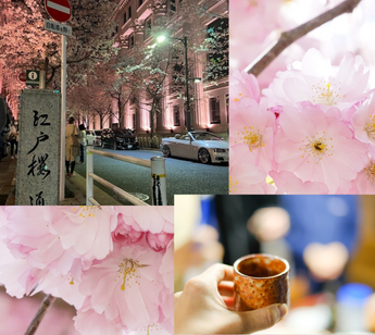 パーティーID:4418295の画像