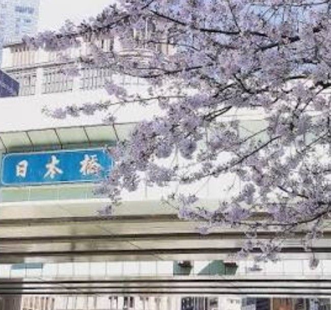 パーティーID:4419177の画像