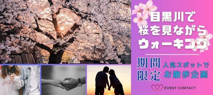 パーティーID:4419218の画像