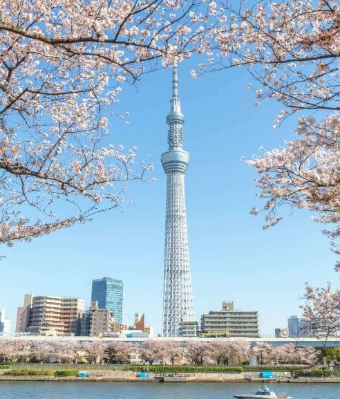 パーティーID:4420314の画像