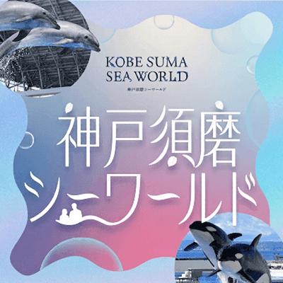 パーティーID:4421057の画像