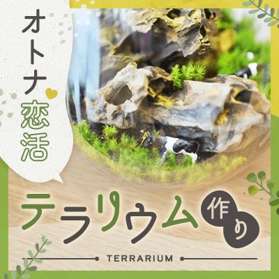 パーティーID:4421096の画像