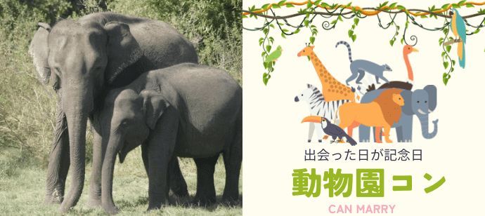 パーティーID:4421514の画像