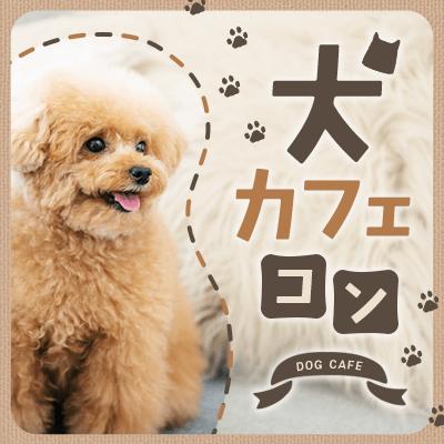 パーティーID:4421567の画像