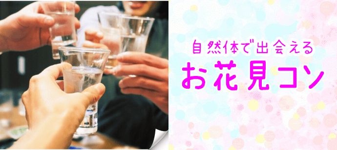 パーティーID:4422221の画像