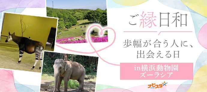 パーティーID:4422930の画像
