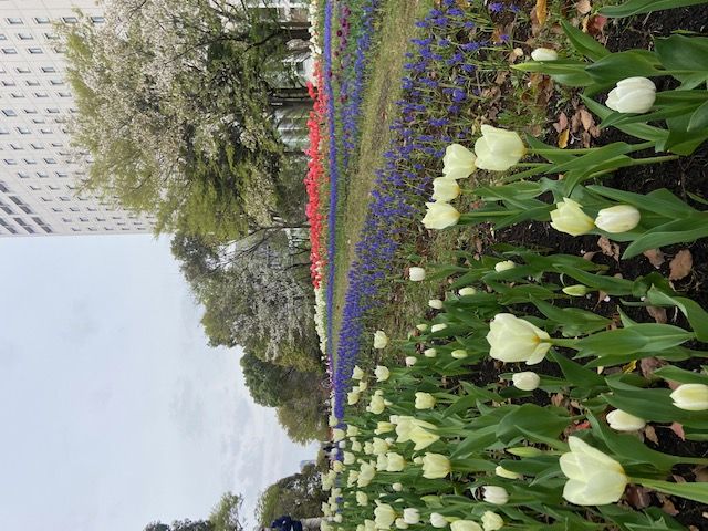 パーティーID:4422931の画像