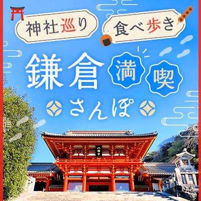 パーティーID:4423264の画像