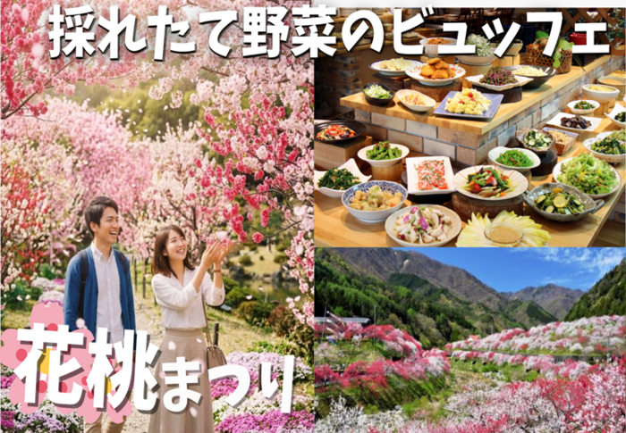 パーティーID:4423269の画像