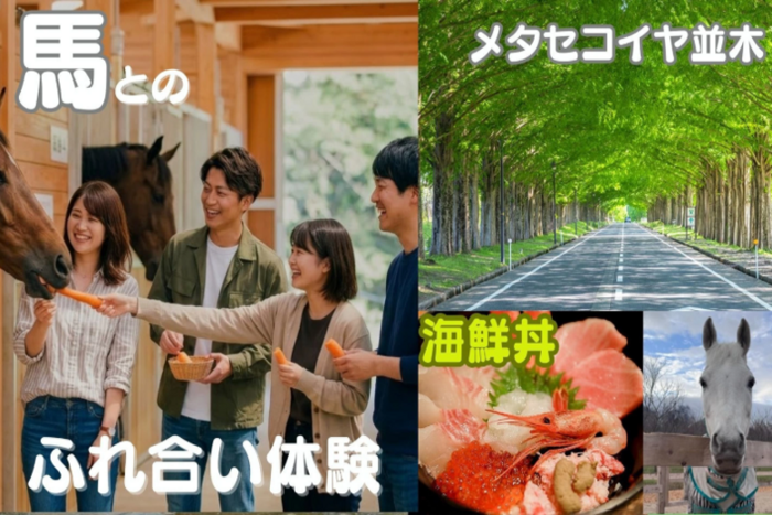 パーティーID:4423458の画像