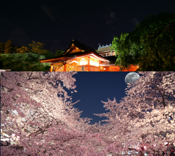 パーティーID:4424333の画像