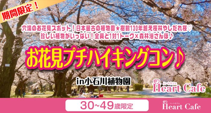 パーティーID:4424415の画像