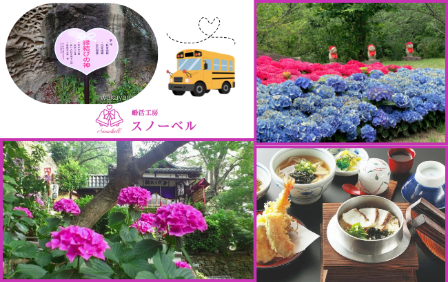 パーティーID:4424572の画像