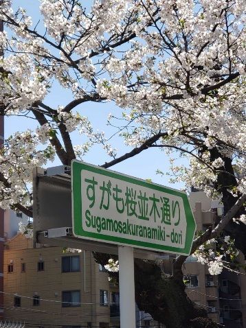 パーティーID:4425216の画像