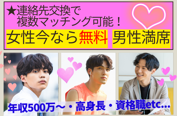 パーティーID:4425773の画像