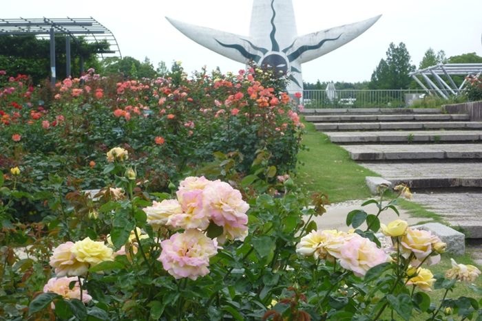 パーティーID:4426224の画像