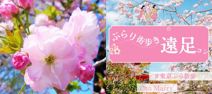 パーティーID:4427310の画像