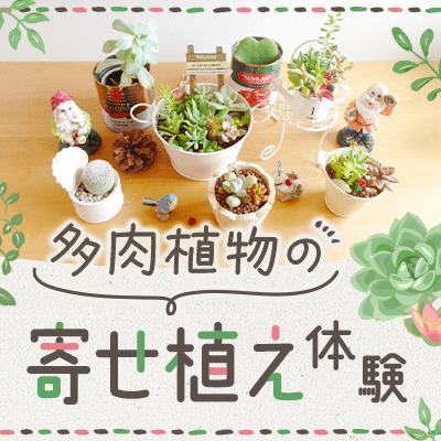 パーティーID:4427384の画像