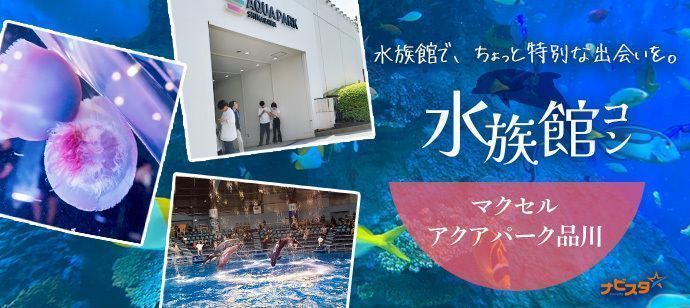 パーティーID:4428207の画像