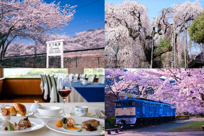 パーティーID:4428385の画像