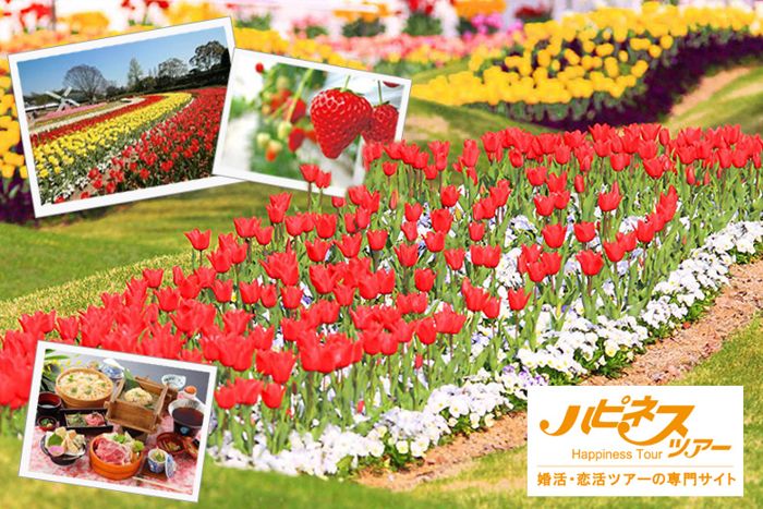 パーティーID:4428854の画像