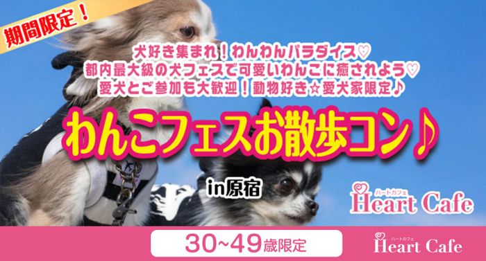 パーティーID:4430009の画像