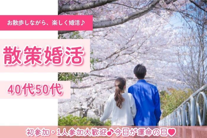 パーティーID:4431054の画像