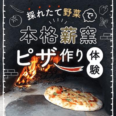 パーティーID:4431237の画像