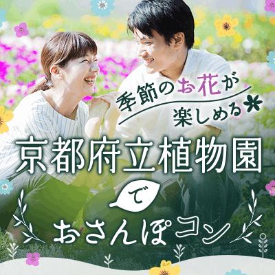 パーティーID:4431296の画像