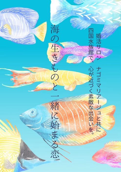 パーティーID:4431351の画像