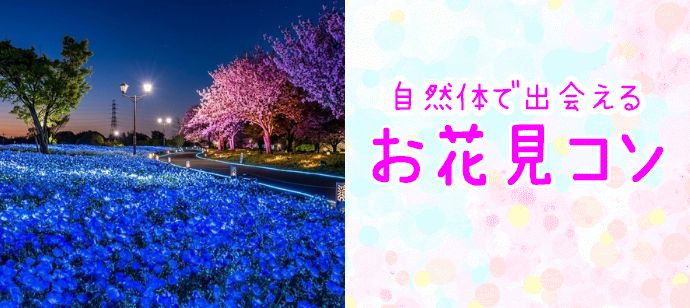 パーティーID:4432124の画像